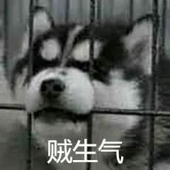 维多利亚 维多利亚