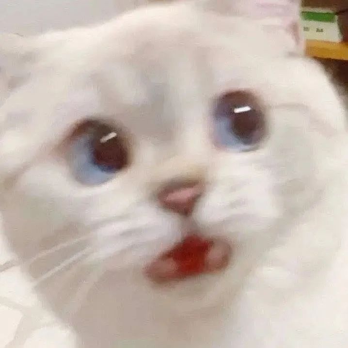 维多利亚 维多利亚