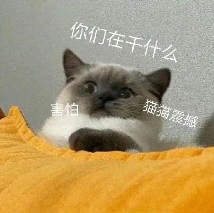 维多利亚