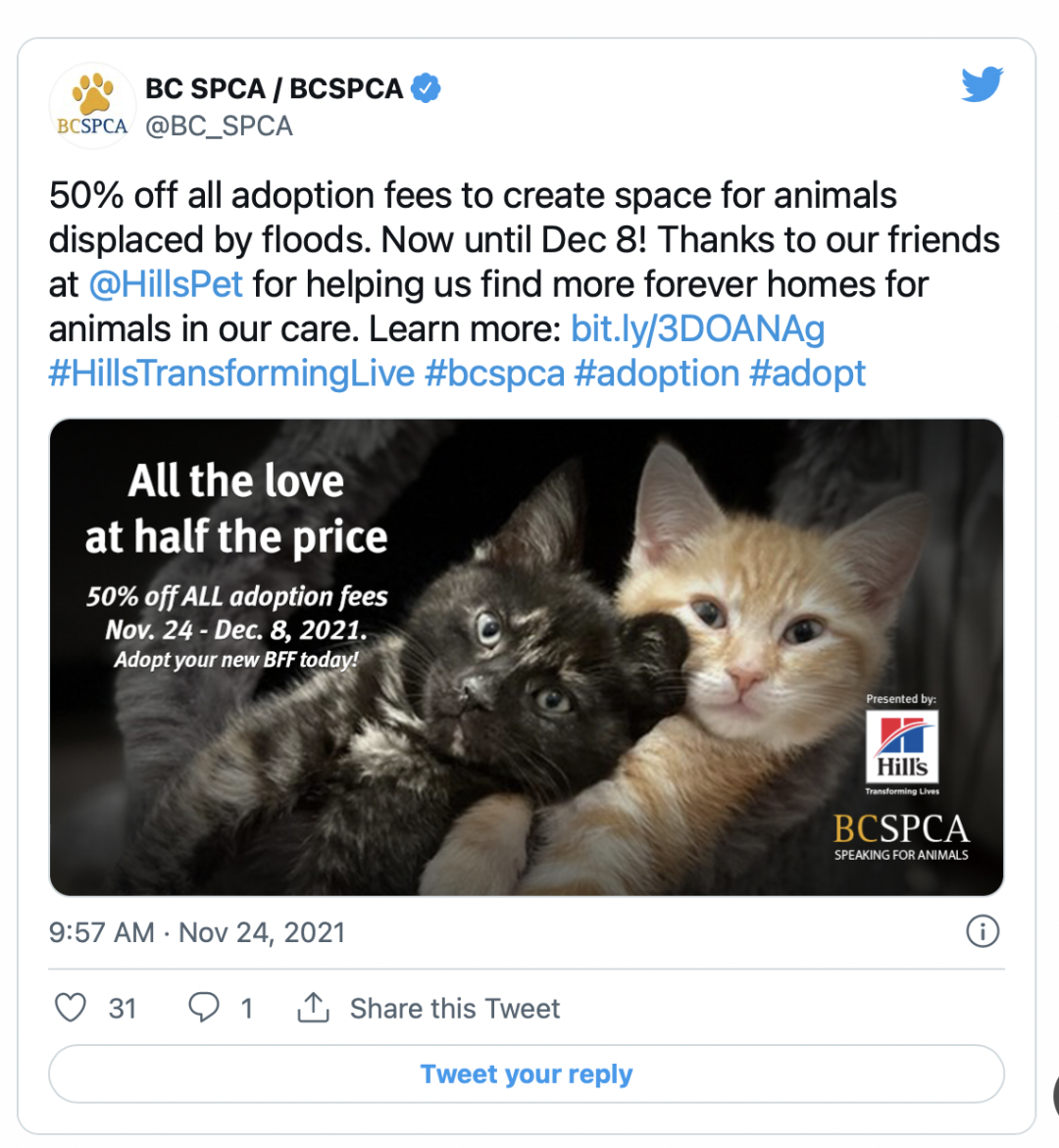 维多利亚