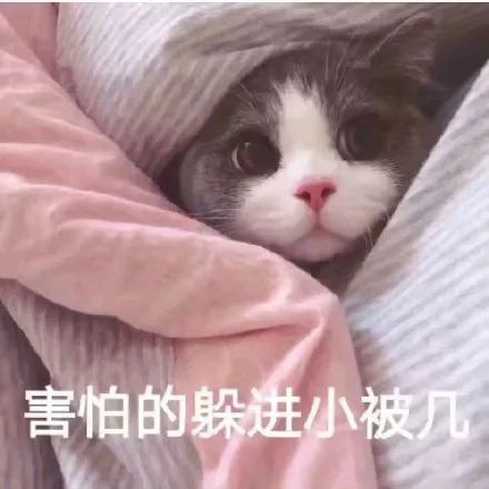 维多利亚 维多利亚