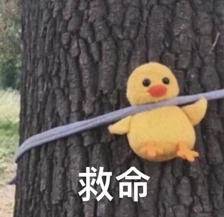 维多利亚 维多利亚