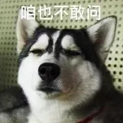 维多利亚