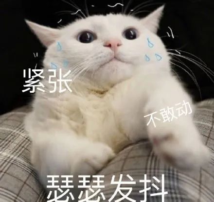 维多利亚 维多利亚