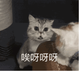维多利亚