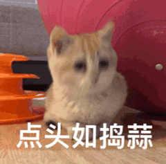 维多利亚 维多利亚