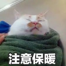 维多利亚 维多利亚