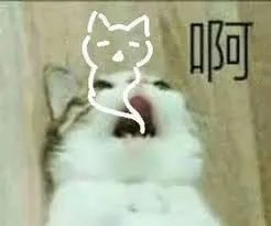 维多利亚 维多利亚