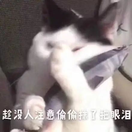 维多利亚 维多利亚