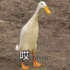维多利亚 维多利亚
