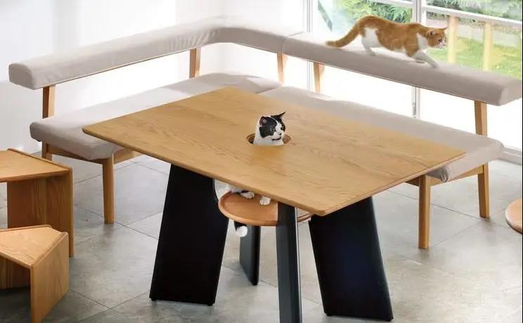 让人疯狂心动的宠物家具
