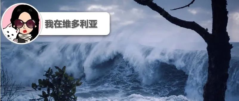 BC轮渡下个月起船票涨价!不敢信?温哥华岛居然有“最强海浪”!高达四层楼!!