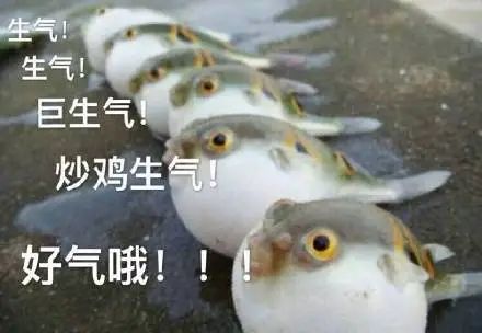 维多利亚 维多利亚