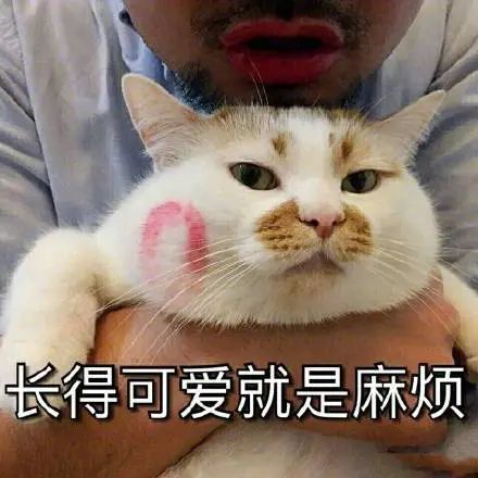 维多利亚