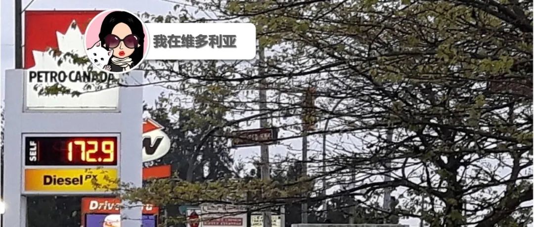 穷哭了。。维多利亚油价疯涨接近$1.8！！危险路段导致死亡？Saanich市政府决定整改UVic附近道路！