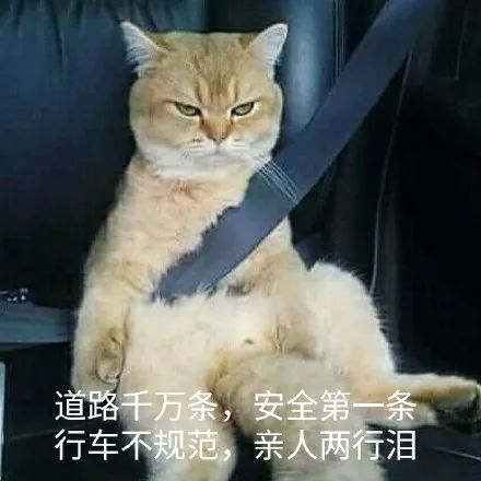 维多利亚 维多利亚
