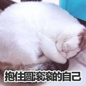 维多利亚 维多利亚