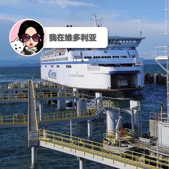 注意啦！BC Ferries部分航线又要被取消了。。。UVic食物银行被挤爆，太多人来领救济了！