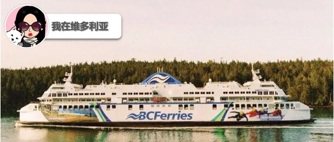 被罚6位数！BC Ferries因员工事故面临高额赔偿！Sooke男子被比特币骗局骗走2万多。。小心诈骗啊！
