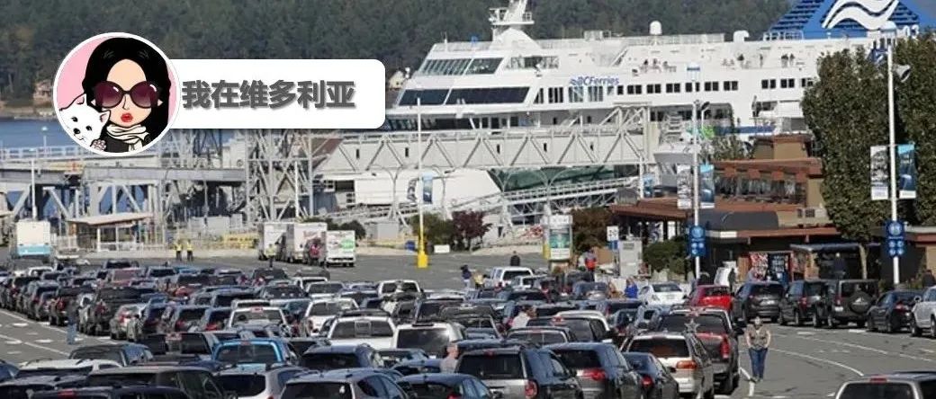 惊呆！长周末假期预计有40万人搭乘渡轮出行！Shelbourne街道升级工程第二阶段下周开始！