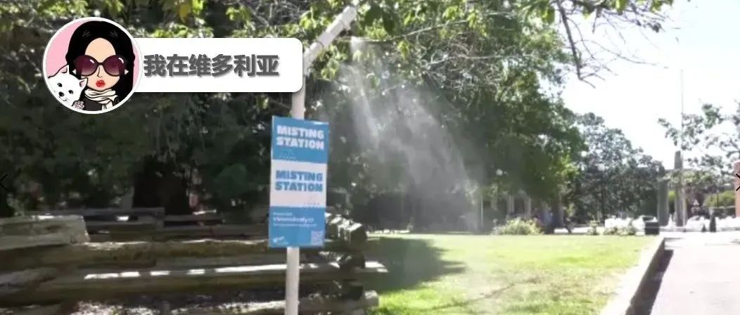 35摄氏度高温来袭！维多利亚开放喷雾降温站！这两天盐泉岛的晚间渡轮又取消。。