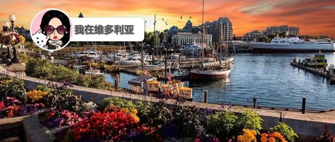 速查!BC有中奖1500万的彩票无人认领!骄傲!维多利亚上榜“2022加拿大最佳小城市”!!