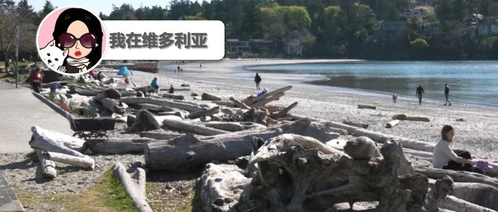 热炸了！BC大部分地区将迎来高温天气！Uptown今早发生严重交通事故！