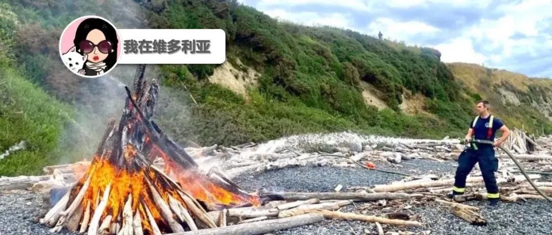 注意!维多利亚消防局提醒:露营生火面临罚款!后续来了,警察枪击案筹募已超14万!!