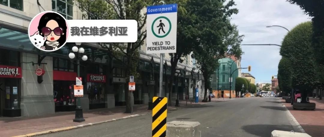 真的吗？维多利亚市中心这条街道准备改建成步行街？勿靠近！又有一个湖爆发蓝藻啦