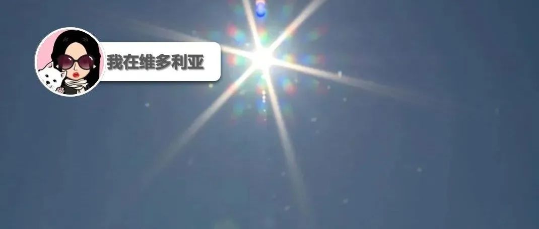 热死人!BC省今年高温热浪已导致16人死亡!古树保护活动者竟然爬上了游客中心?!