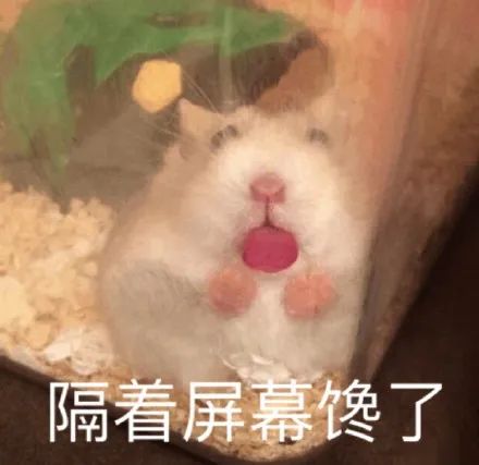 维多利亚