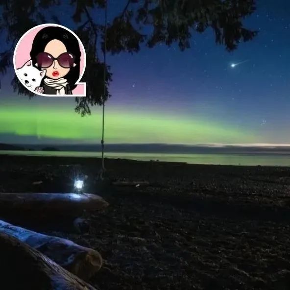 美绝了！摄影师抓拍到极光流星与明月共存的瞬间！BC Ferries今年第一季度运营数据出炉！