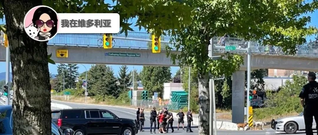 有恩怨？流浪汉威胁要用狗杀死警察！一女子在骑电动滑板车时掉入大坑！