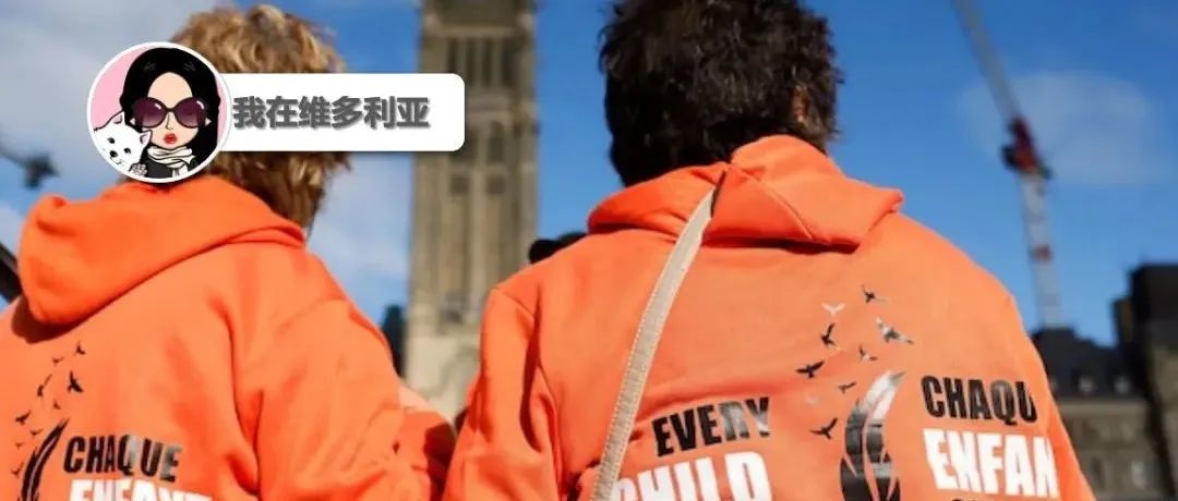 你知道吗?今天是加拿大第二个真相和解日!有人目击了鲸鱼大混战?!