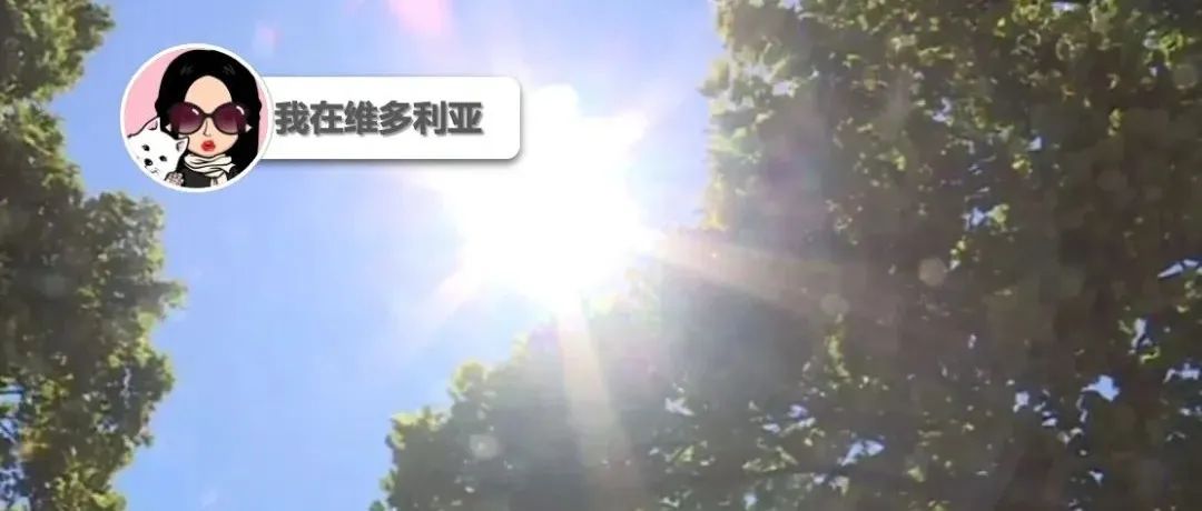 不寻常！温岛十月气温将异常温暖！Saanich今早有人骑车途中遇到意外..