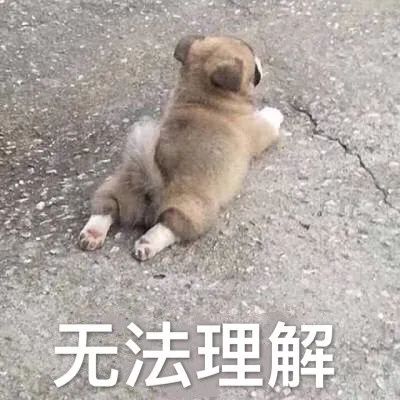 维多利亚 维多利亚