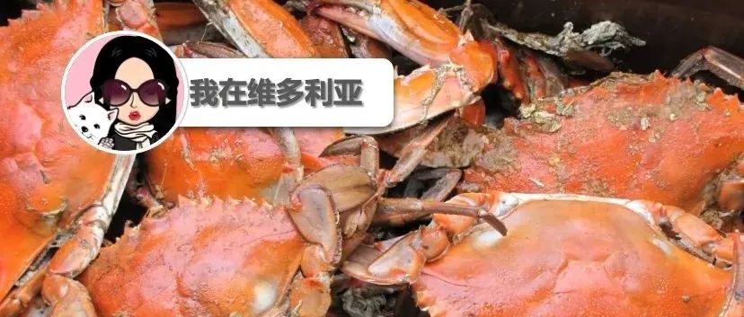 哇噻!维多利亚十一月举办首届螃蟹节?!BC省公园今年接待游客数量创新高!
