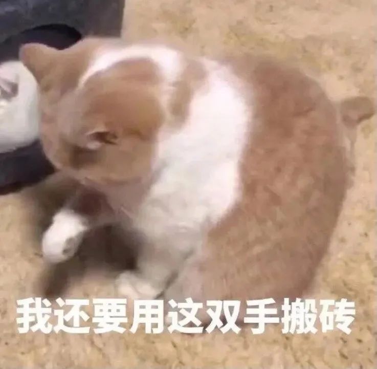 维多利亚 维多利亚