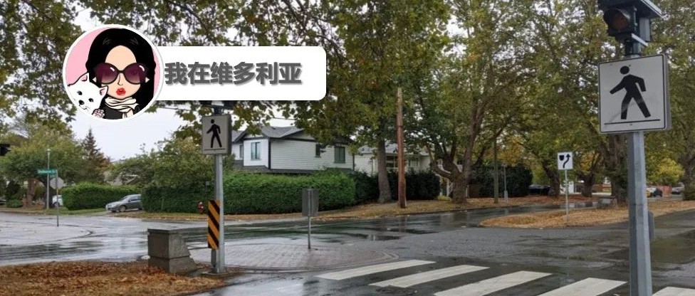 心塞!Saanich一名儿童过马路时被车撞倒!大雨即将袭击岛上部分地区!