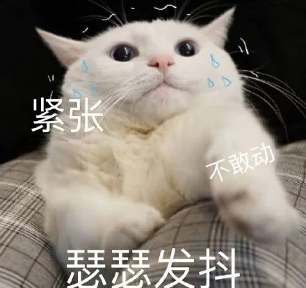 维多利亚 维多利亚