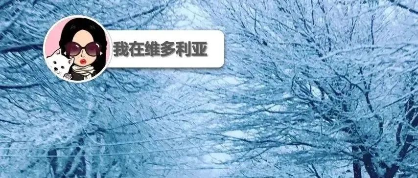 下雪啦!温岛今晚会有更多降雪?!Langford一醉驾司机把车撞到墙里了。。。