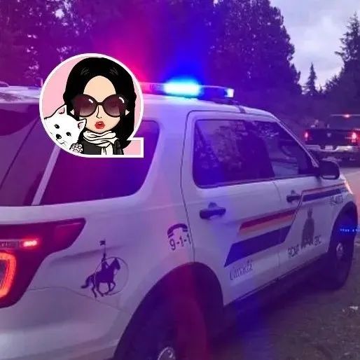 太吓人了!青少年声称要在Langford麦当劳里持刀杀人,结果被警察捉走!