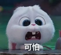 维多利亚 维多利亚