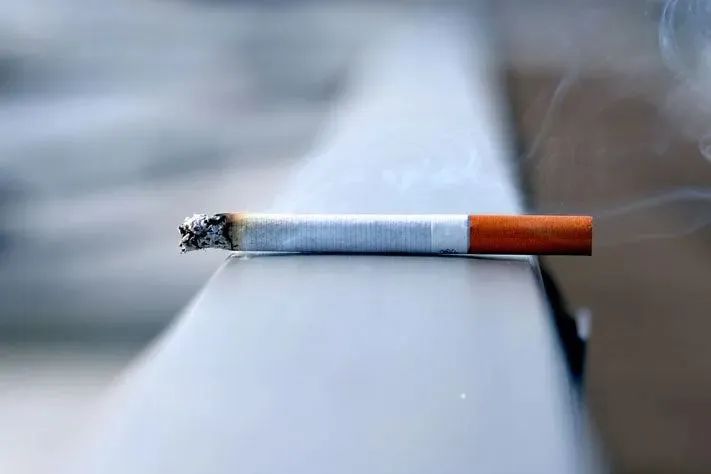 维多利亚 维多利亚