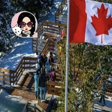 热点|有意思!6个最加拿大的本地俚语你都知道吗?