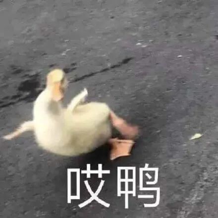 维多利亚 维多利亚