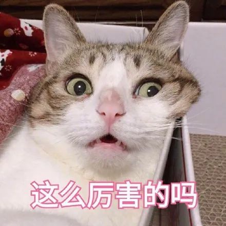 维多利亚