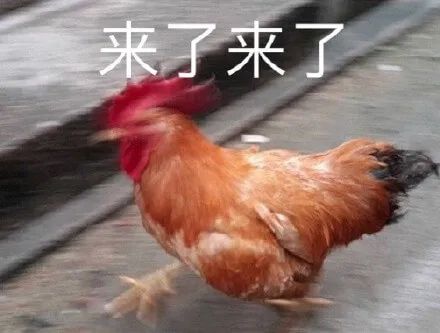 维多利亚 维多利亚