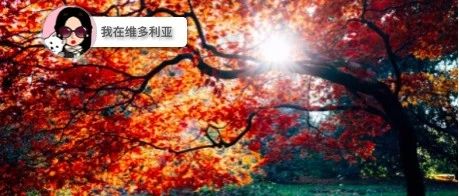 新闻 | 冬令时来袭！快把时钟调好～Hillside“灯光之夜”来袭！