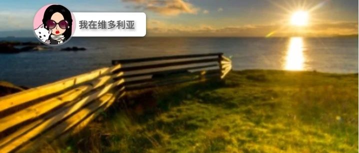 新闻 | 夏天来啦!本周维村超高温来袭!西捷航空罢工导致2w人停滞…